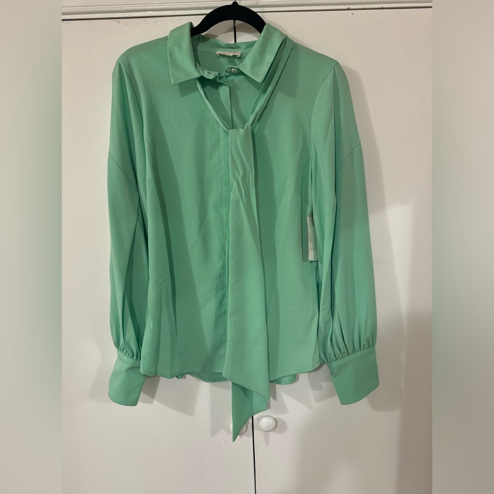Women’s dress shirt, mint green, size medium.